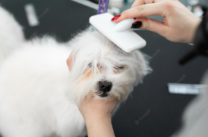A groomer brushing a dog to minimize fur