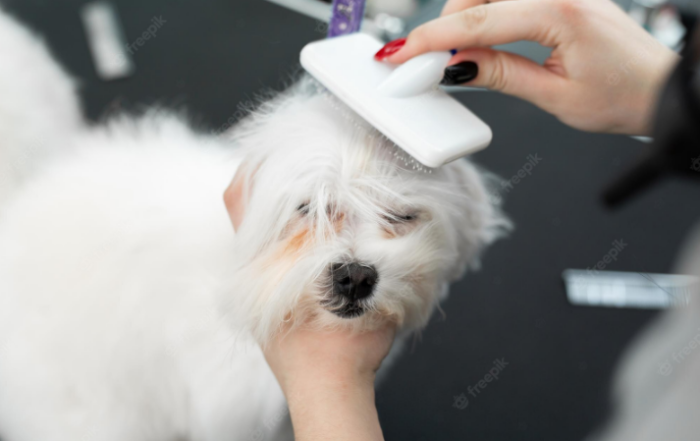 A groomer brushing a dog to minimize fur